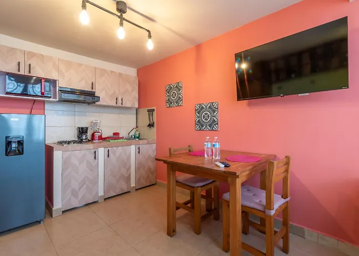 Estudios San ángel Loft 1 Nayarit * México DF